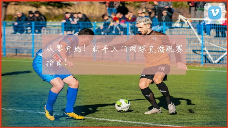 从零开始！新手入门网球直播观赛指南！
