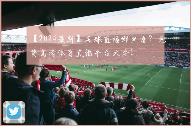 【2024最新】足球直播哪里看？免费高清体育直播平台大全！