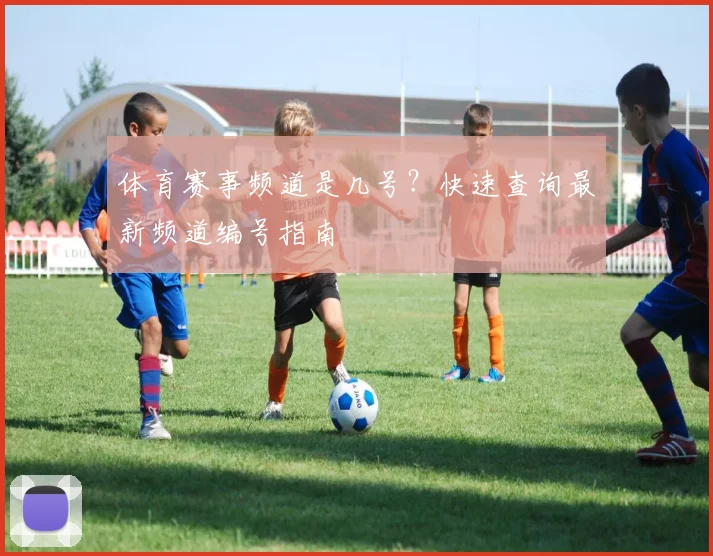 体育赛事频道是几号?快速查询最新频道编号指南