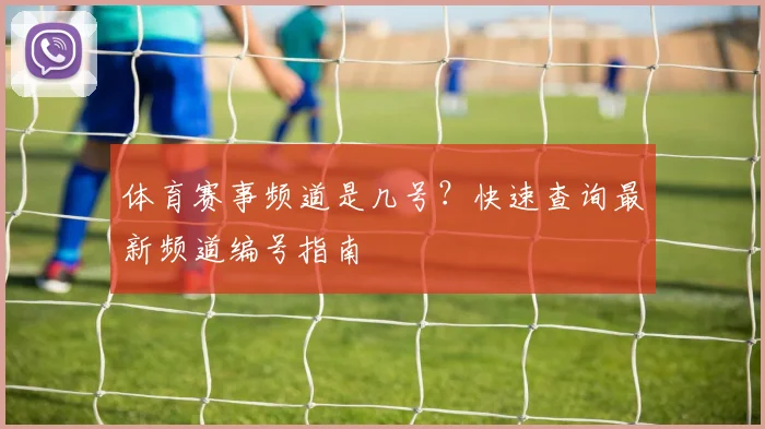 体育赛事频道是几号？快速查询最新频道编号指南