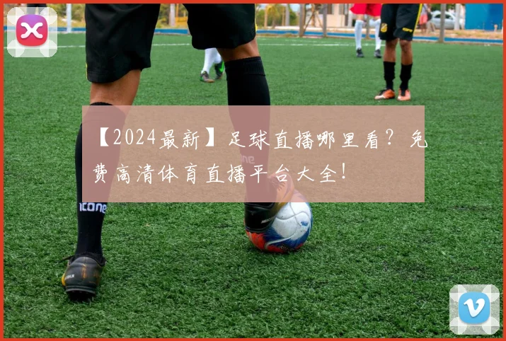 【2024最新】足球直播哪里看？免费高清体育直播平台大全！